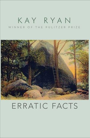 Buy Erratic Facts at Amazon