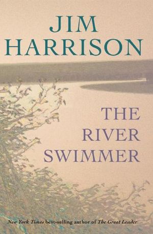 Buy The River Swimmer at Amazon