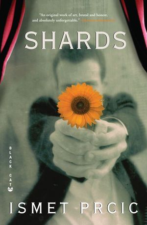 Buy Shards at Amazon