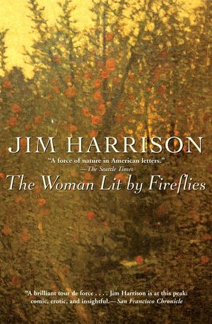 Buy The Woman Lit by Fireflies at Amazon