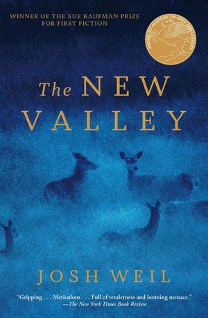 Buy The New Valley at Amazon