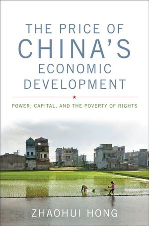 The Price of China's Economic Development