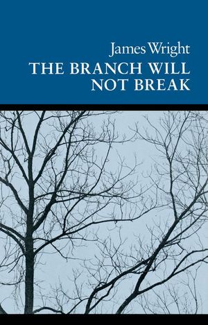 Buy The Branch Will Not Break at Amazon