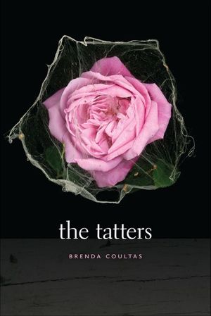 Buy The Tatters at Amazon