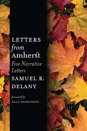 Buy Letters from Amherst at Amazon
