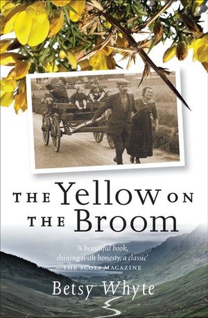The Yellow on the Broom