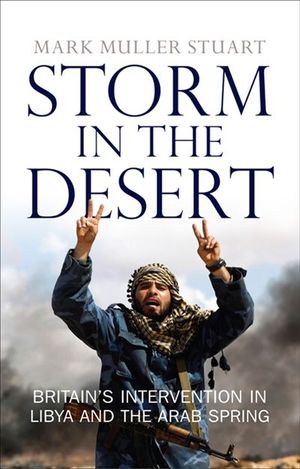 Storm in the Desert