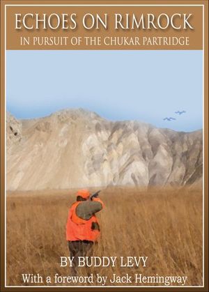 Echoes on Rimrock
