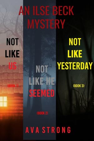 An Ilse Beck Mystery: Not Like Us (#1), Not Like He Seemed (#2), and Not Like Yesterday (#3)