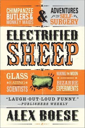 Buy Electrified Sheep at Amazon