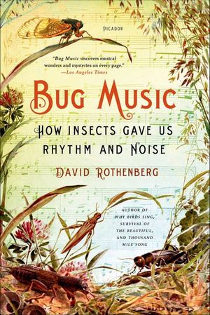 Buy Bug Music at Amazon