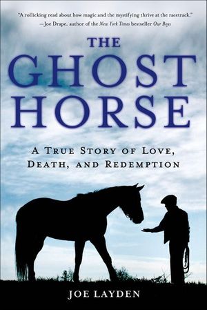 Buy The Ghost Horse at Amazon