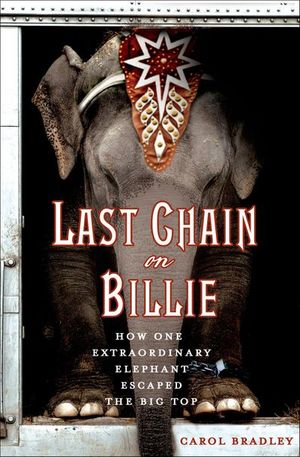 Buy Last Chain on Billie at Amazon