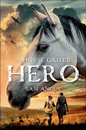 Buy A Horse Called Hero at Amazon