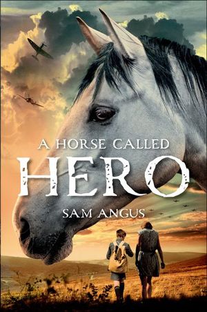 A Horse Called Hero