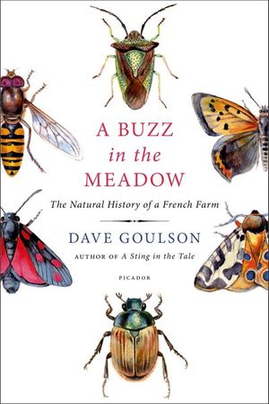 Buy A Buzz in the Meadow at Amazon