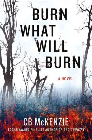 Buy Burn What Will Burn at Amazon