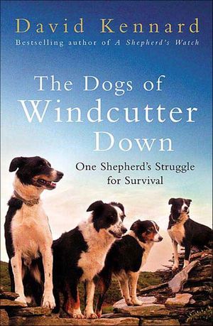 Buy The Dogs of Windcutter Down at Amazon