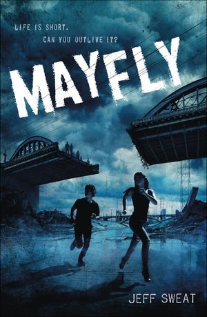 Mayfly