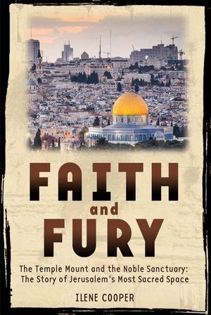 Buy Faith and Fury at Amazon