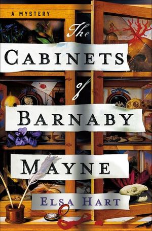 Buy The Cabinets of Barnaby Mayne at Amazon