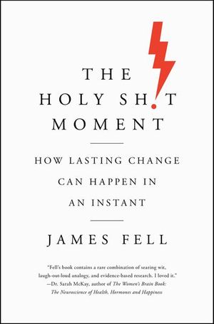 Buy The Holy Sh!t Moment at Amazon