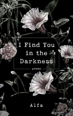 Buy I Find You in the Darkness at Amazon