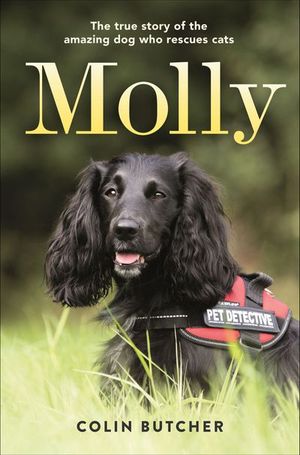 Buy Molly at Amazon