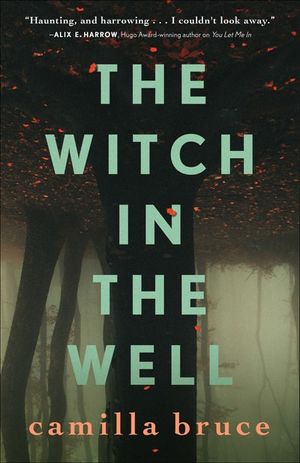 Buy The Witch in the Well at Amazon