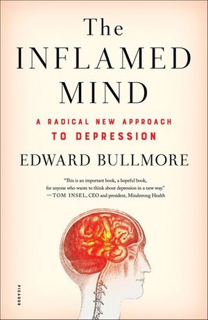 Buy The Inflamed Mind at Amazon