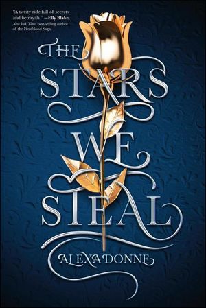 Buy The Stars We Steal at Amazon