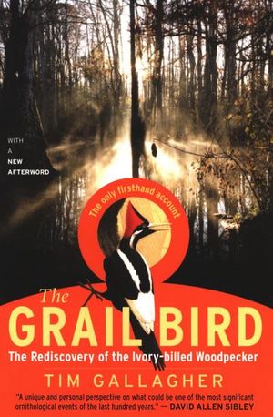 Buy The Grail Bird at Amazon