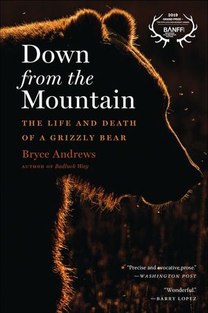 Buy Down from the Mountain at Amazon
