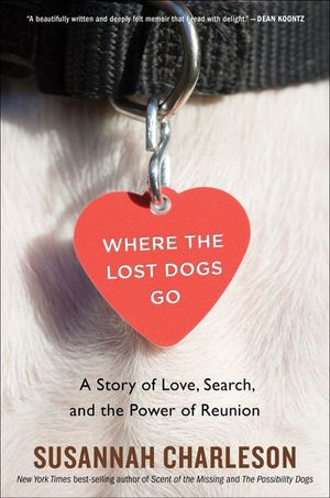 Buy Where the Lost Dogs Go at Amazon