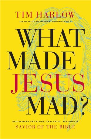 Buy What Made Jesus Mad? at Amazon