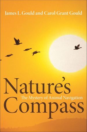 Nature's Compass