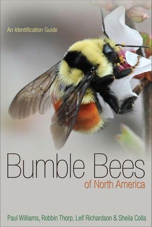 Buy Bumble Bees of North America at Amazon