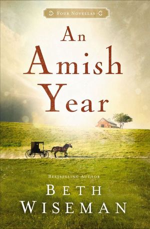 Buy An Amish Year at Amazon