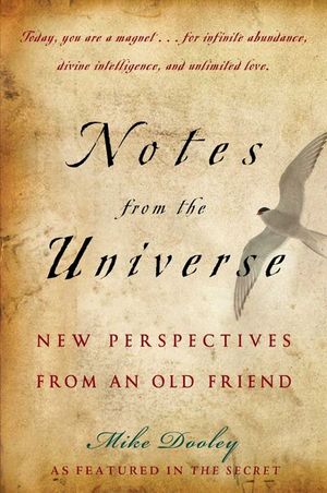 Buy Notes from the Universe at Amazon