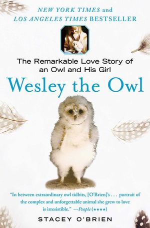 Buy Wesley the Owl at Amazon