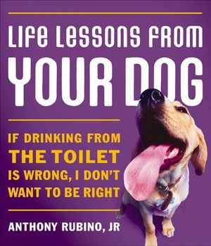 Life Lessons from Your Dog
