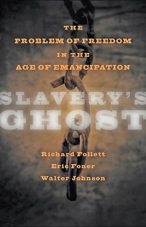 Buy Slavery's Ghost at Amazon