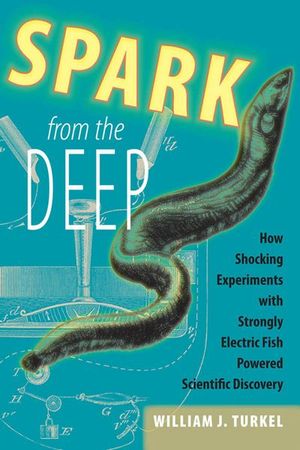 Spark from the Deep