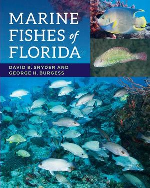 Buy Marine Fishes of Florida at Amazon