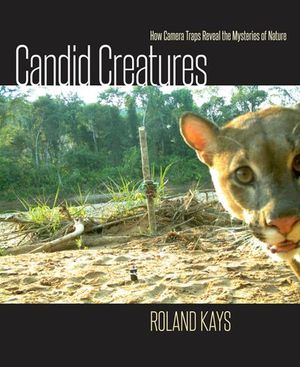 Buy Candid Creatures at Amazon