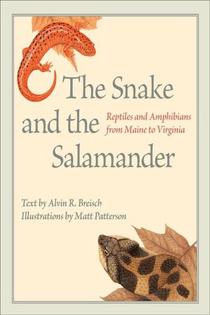 The Snake and the Salamander