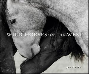 Wild Horses of the West