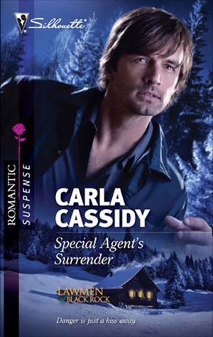 Buy Special Agent's Surrender at Amazon