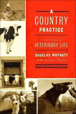 Buy A Country Practice at Amazon