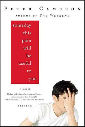 Someday This Pain Will Be Useful to You